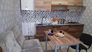 Гостевой дом Guest house rosh Тбилиси Большой двухместный номер с 1 кроватью-29